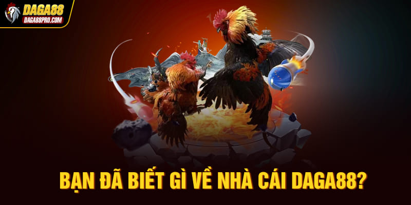 Bạn đã biết gì về nhà cái Daga88?