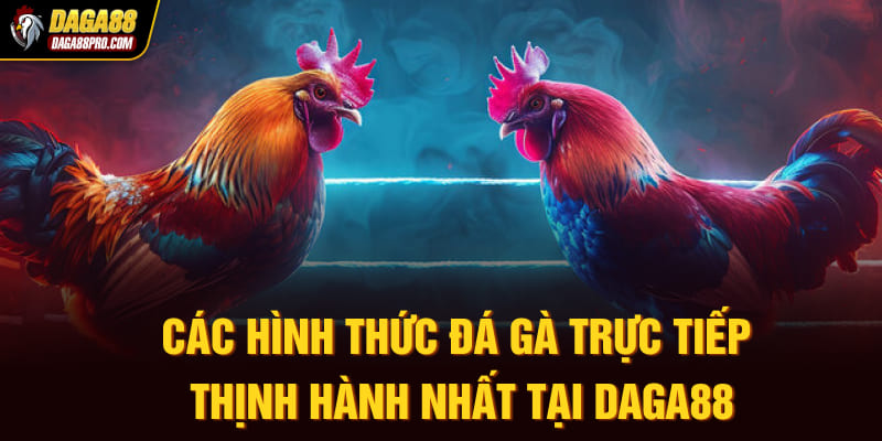 đá gà trực tiếp