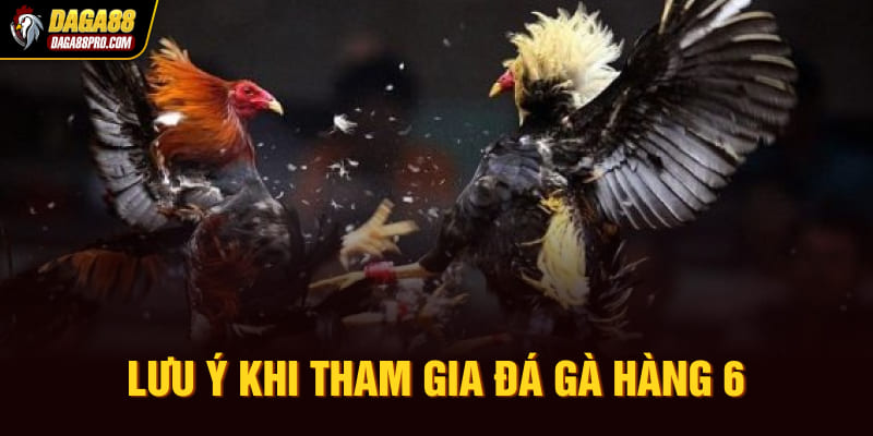 Lưu ý khi tham gia đá gà hàng 6