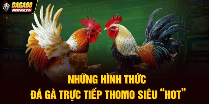 Những hình thức đá gà trực tiếp Thomo siêu “hot”
