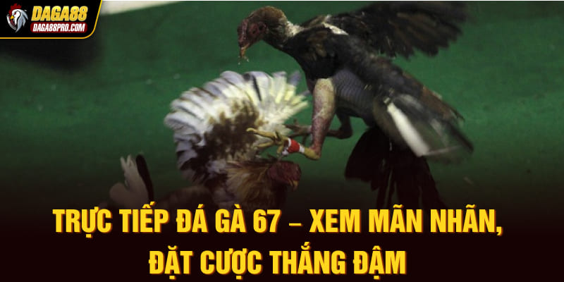 trực tiếp đá gà 67
